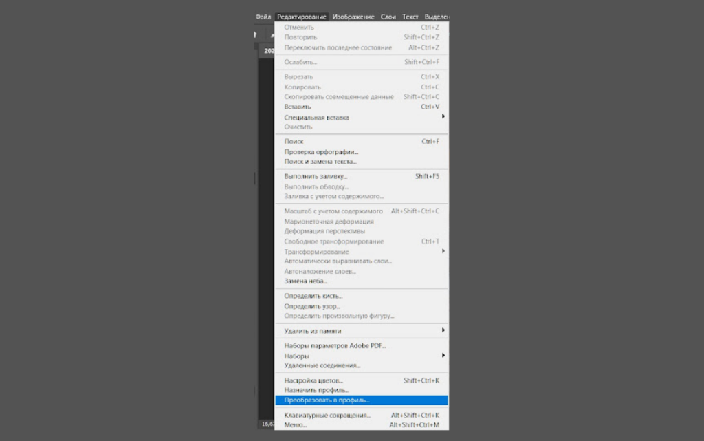Функция преобразования в профиль в Фотошоп